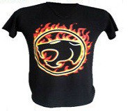 Camiseta thundercats llamas